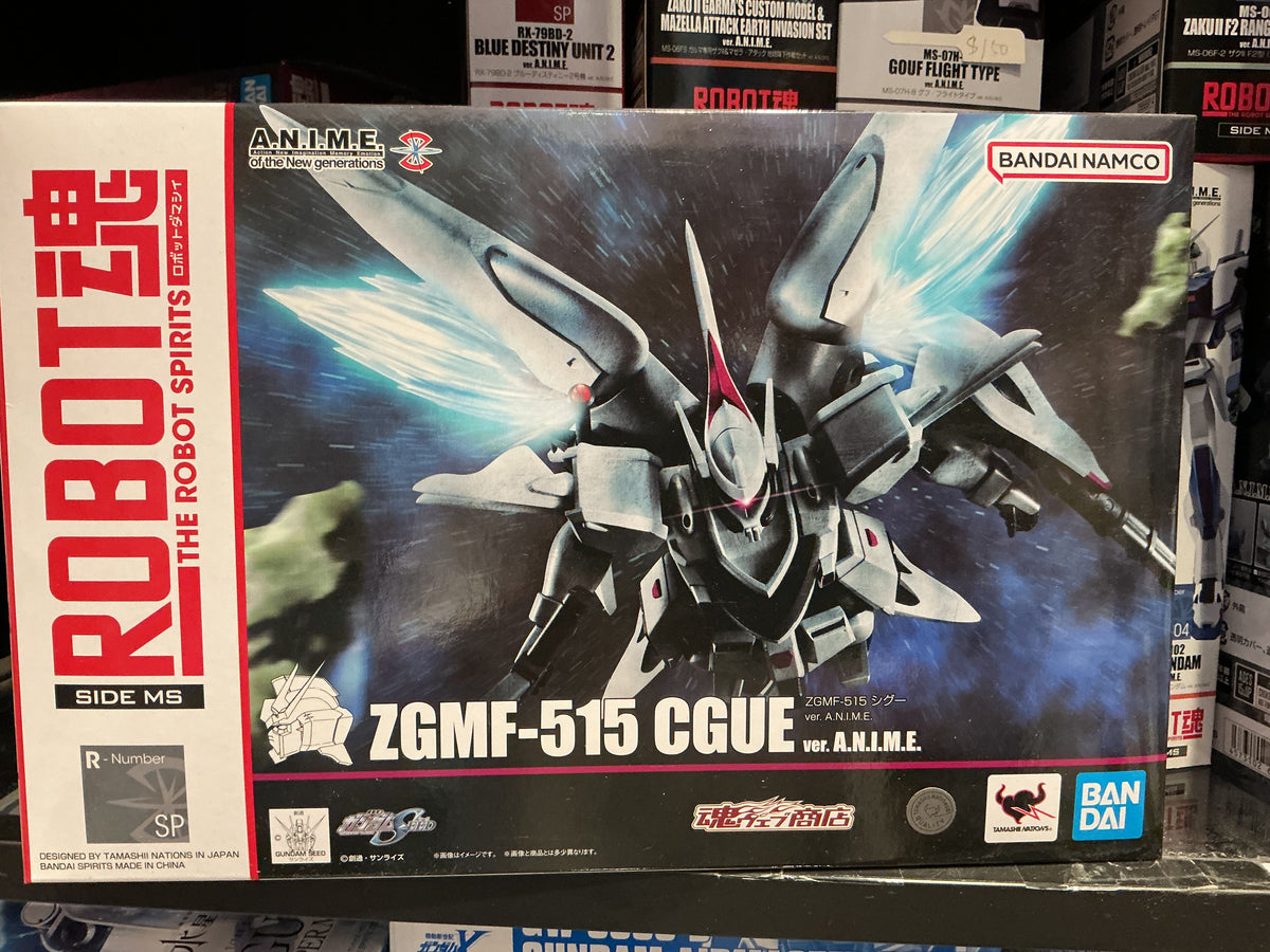 ROBOT魂 SIDE MS ZGMF-515 CGUE ver. A.N.I.M.E. – 西古