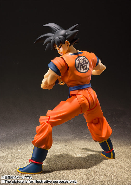 S.H.Figuarts SON GOKU -A SAIYAN RAISED ON EARTH- 孙悟空 诞生于地球的赛亚人