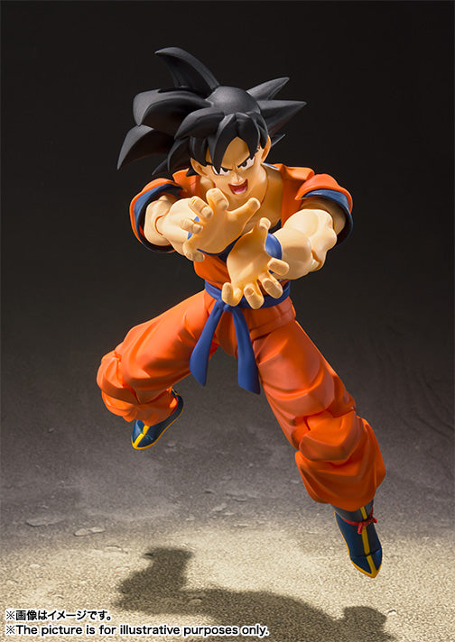 S.H.Figuarts SON GOKU -A SAIYAN RAISED ON EARTH- 孙悟空 诞生于地球的赛亚人