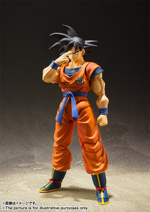 S.H.Figuarts SON GOKU -A SAIYAN RAISED ON EARTH- 孙悟空 诞生于地球的赛亚人