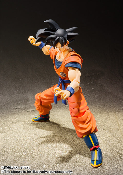 S.H.Figuarts SON GOKU -A SAIYAN RAISED ON EARTH- 孙悟空 诞生于地球的赛亚人